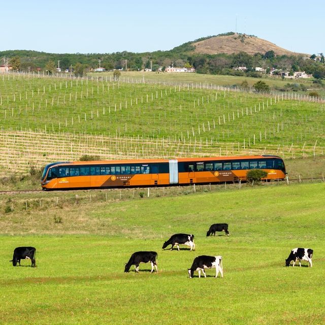 Trem dos pampas